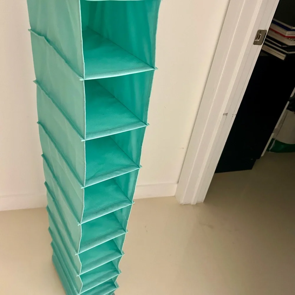 💜BOGO Teal shoe organizer
